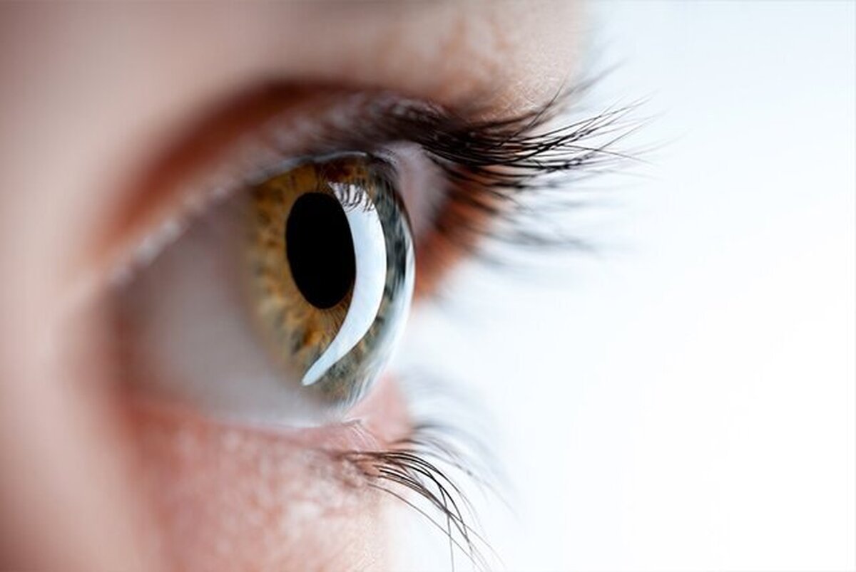 راست‌آزمایی ۹ باور رایج درباره سلامت بینایی